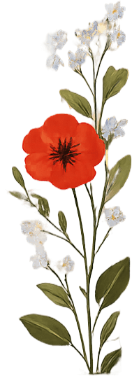 Red Flower